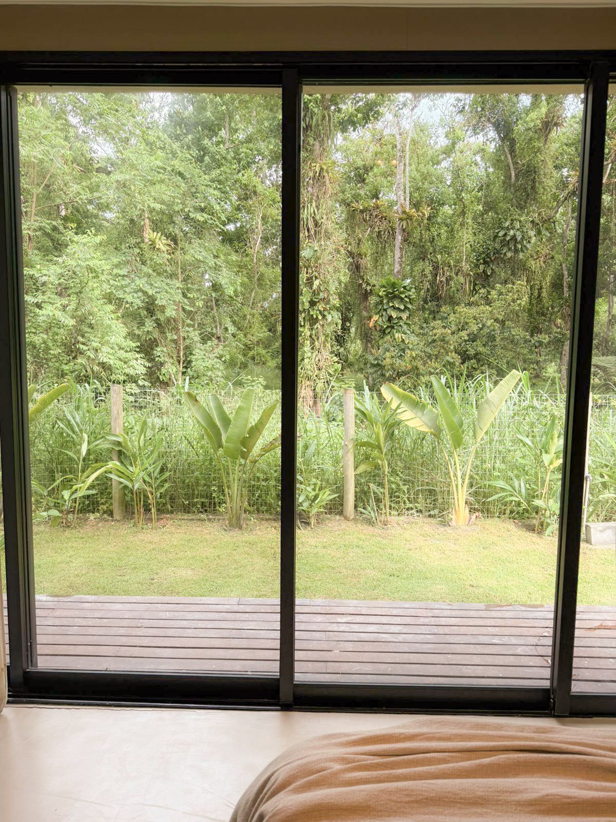 Vista da cama para a mata